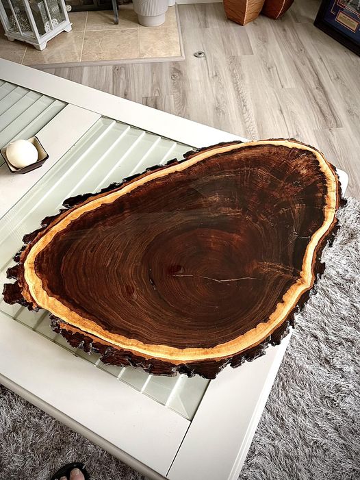 Walnut Root Tray